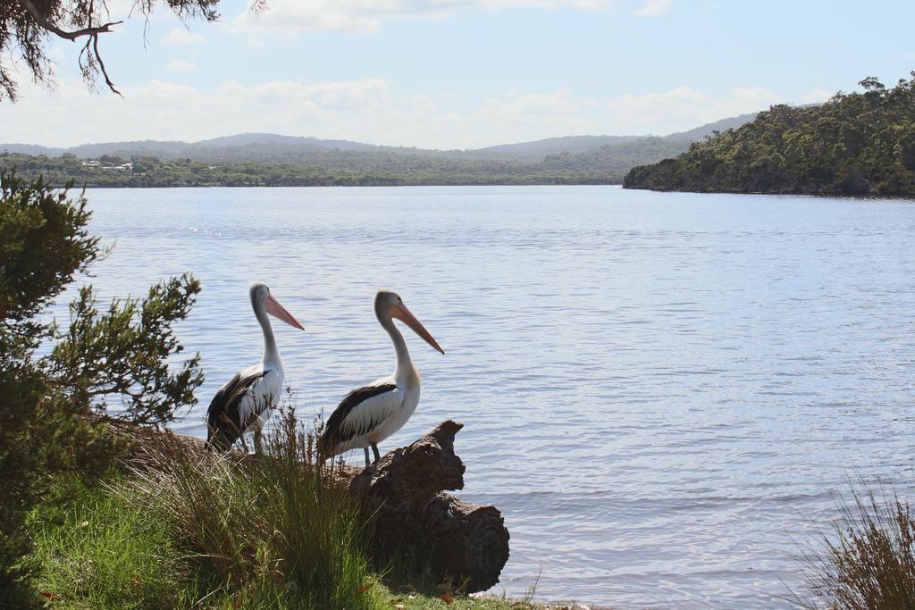 Walpole Rest Point Caravan Park Campsite